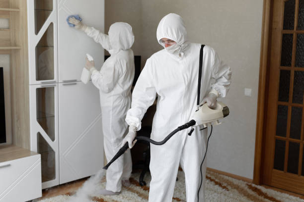 Best Residential Mold Removal  in Garden City South, NY