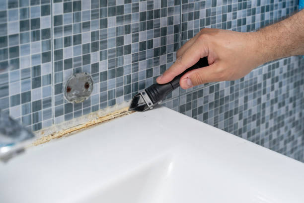 Best Mold Testing  in Garden City South, NY