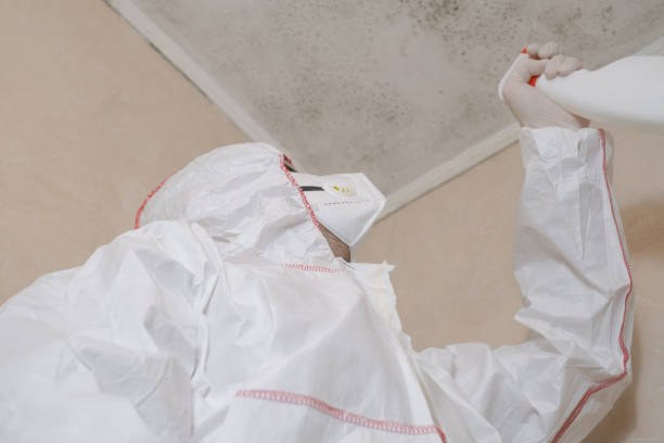 Best Professional Mold Removal  in Garden City South, NY
