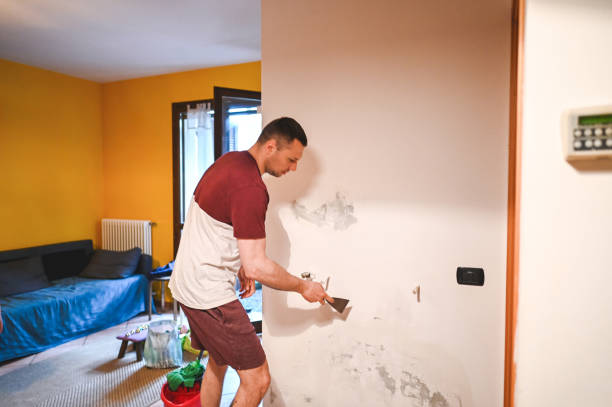 Best Home Mold Removal  in Garden City South, NY