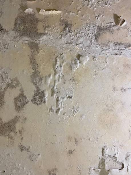 Water Damage Restoration in Garden City South, NY